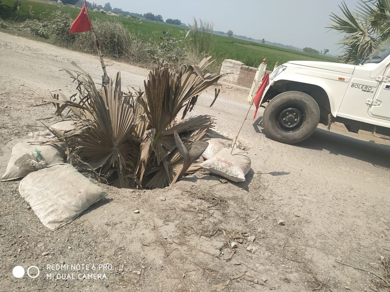 जानलेवा बनी नवलपुर-सलेमपुर सड़क