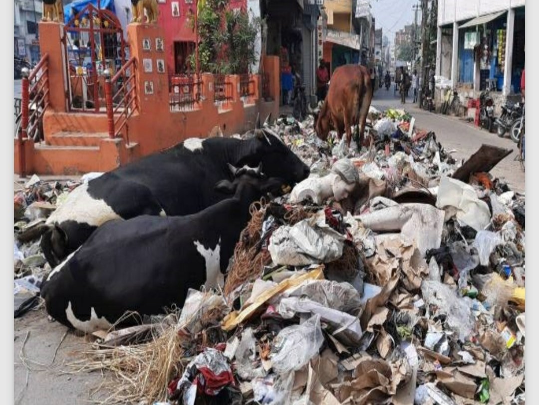 देवरिया की गंदगी से प्रभावित हो रही बन्दगी