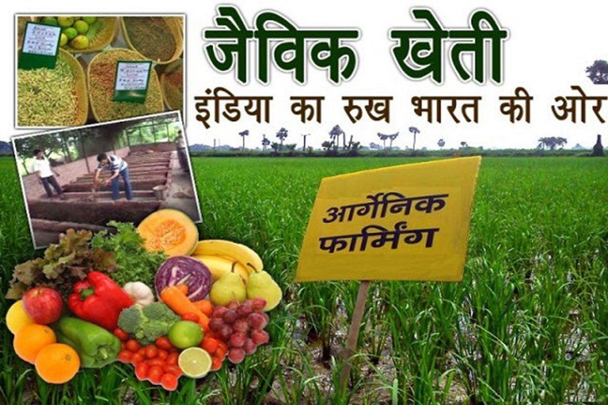सतत और जैविक खेती एक बेहतर विकल्प – श्याम नन्दन पाण्डेय
