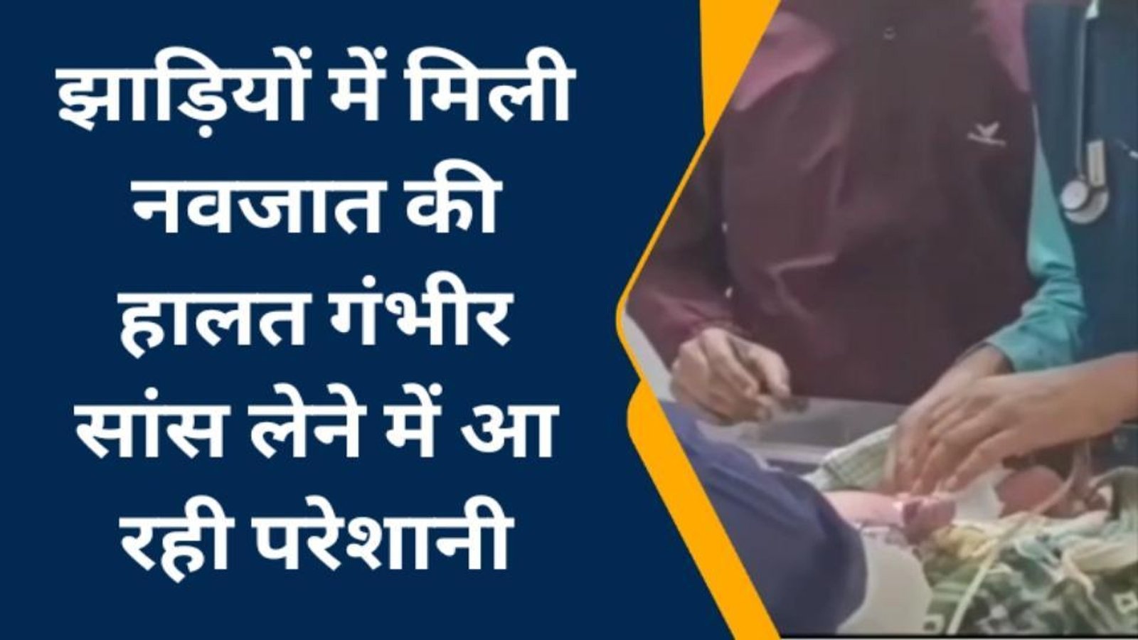 झाड़ियों में मिली नवजात बच्ची, आखिर कौन है वो बेरहम जिसने मासूम को फेंक दिया?