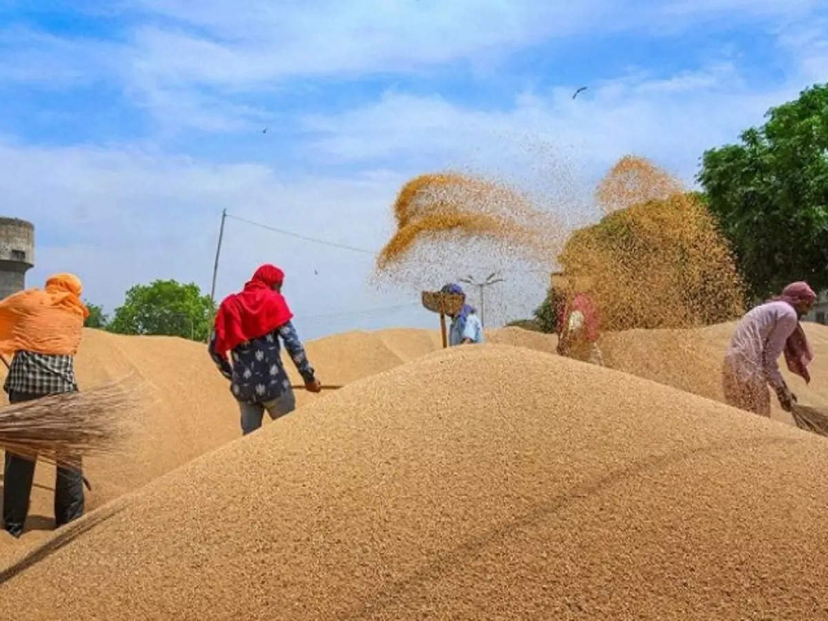 कांटा का पूजन कर गेहूं खरीद का हुआ शुभारम्भ