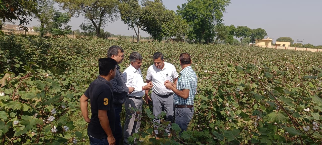अधिकारियों की टीम ने किया बीटी कपास में खराबे का अवलोकन