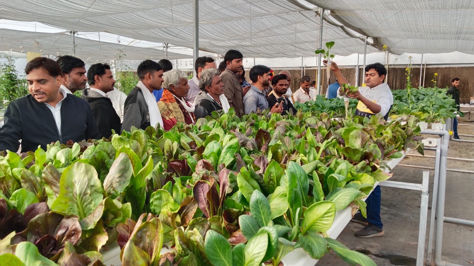 सब्जी उत्पादन को बढ़ावा देने हेतु किसानों के प्रशिक्षण का हुआ आयोजन