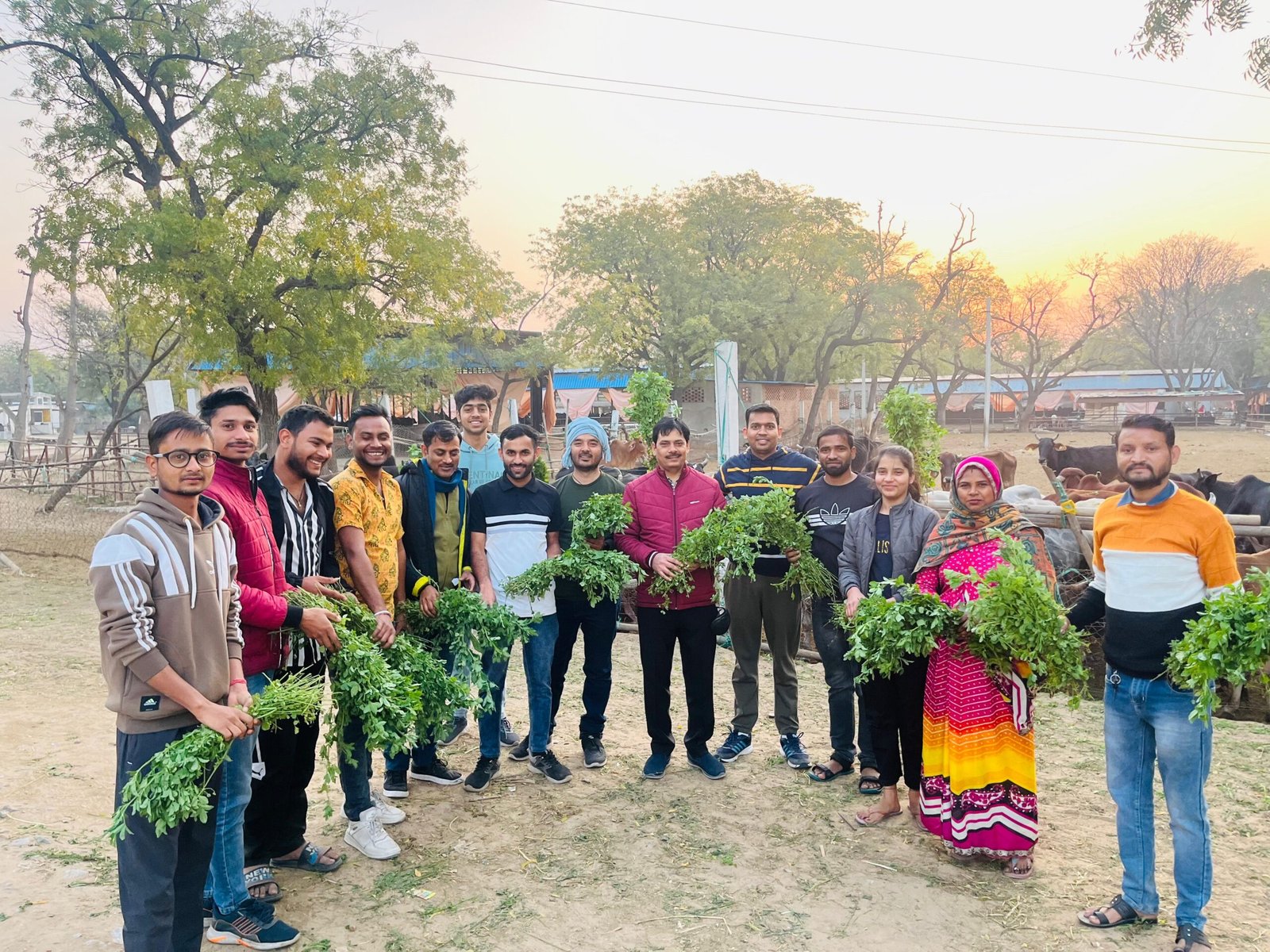 जयपुर : वीएमडब्लू टीम ने की गौ सेवा